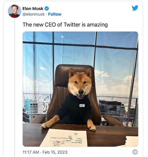 马斯克是doge的狂热粉丝