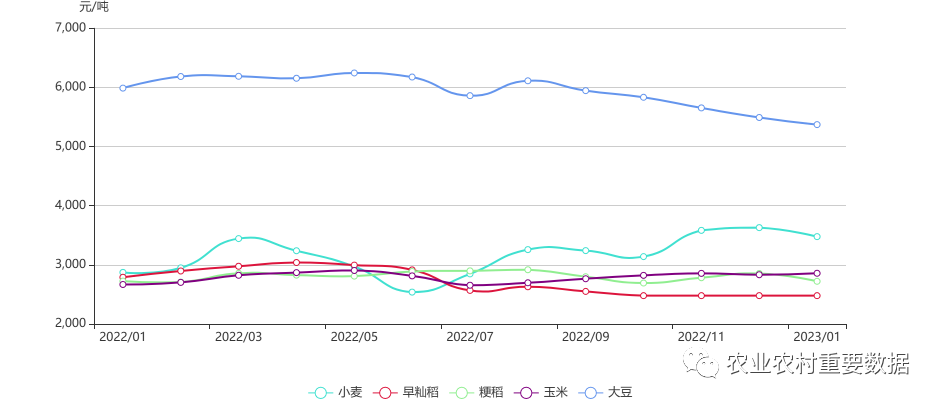 图3 主要原粮国内期货价格走势国际粮食价格2023年1月,大米泰国离岸价